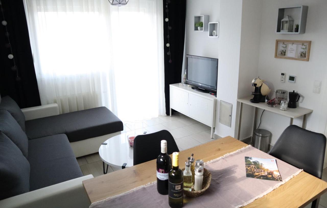 Apartment Sandra Toplice Sveti Martin スヴェティ・マルティン・ナ・ムリ エクステリア 写真